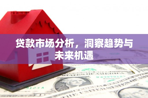 国姓贷款市场分析，洞察趋势与未来机遇