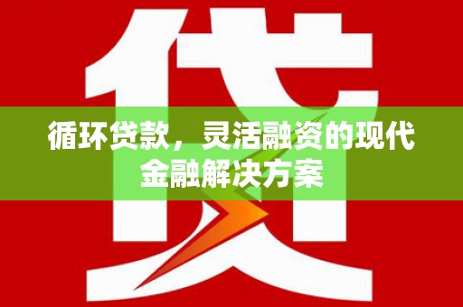 国姓循环贷款，灵活融资的现代金融解决方案