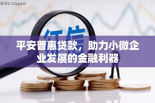 国姓平安普惠贷款，助力小微企业发展的金融利器