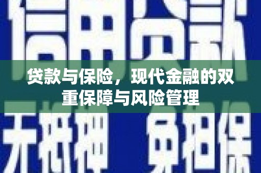 国姓贷款与保险，现代金融的双重保障与风险管理