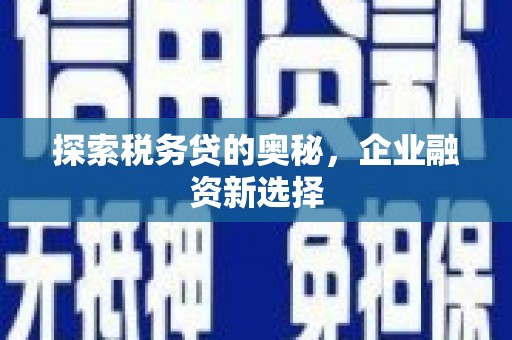 国姓探索税务贷的奥秘，企业融资新选择