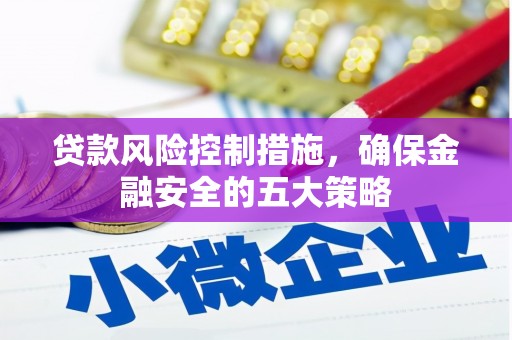 国姓贷款风险控制措施，确保金融安全的五大策略