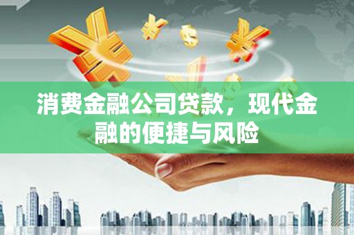 国姓消费金融公司贷款，现代金融的便捷与风险
