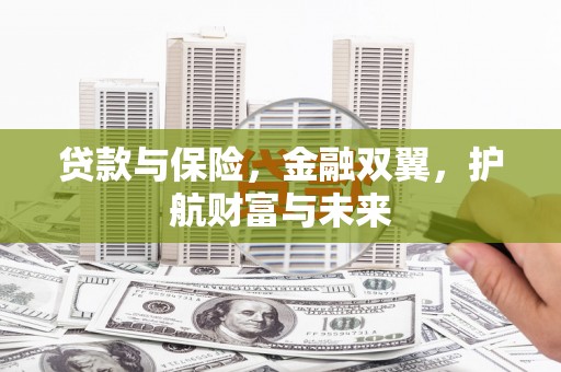 国姓贷款与保险，金融双翼，护航财富与未来