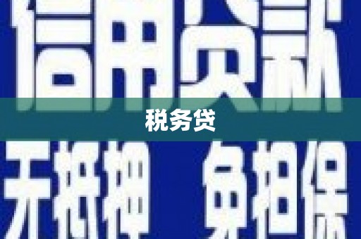国姓税务贷