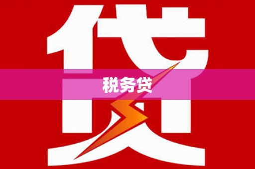 国姓税务贷