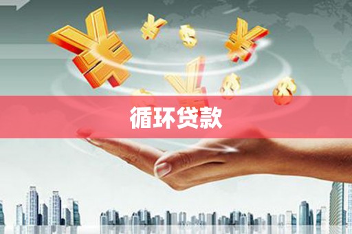 国姓循环贷款
