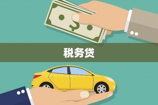 国姓税务贷