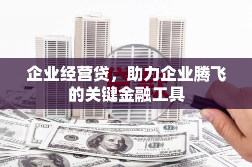 国姓企业经营贷，助力企业腾飞的关键金融工具
