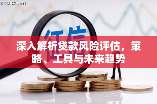 国姓深入解析贷款风险评估，策略、工具与未来趋势