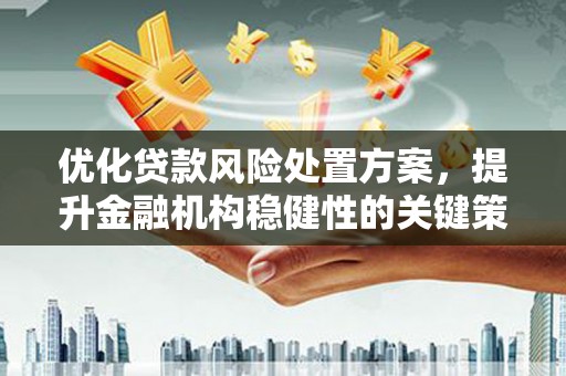 国姓优化贷款风险处置方案，提升金融机构稳健性的关键策略