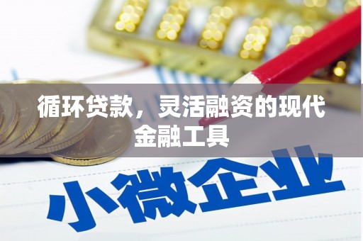 国姓循环贷款，灵活融资的现代金融工具
