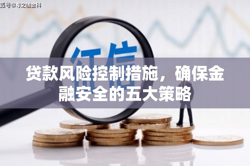 国姓贷款风险控制措施，确保金融安全的五大策略