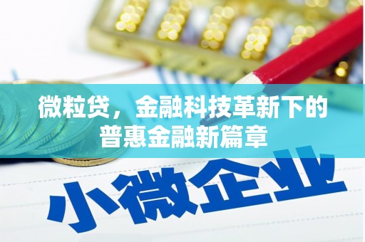 国姓微粒贷，金融科技革新下的普惠金融新篇章