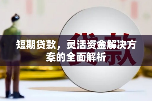 国姓短期贷款，灵活资金解决方案的全面解析