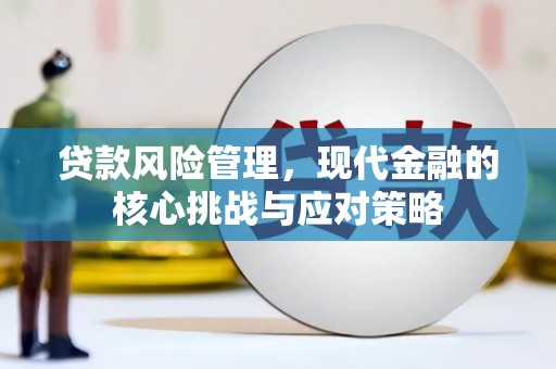 国姓贷款风险管理，现代金融的核心挑战与应对策略