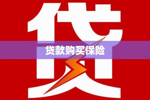国姓贷款购买保险