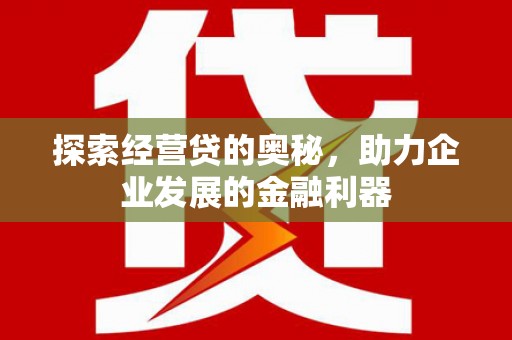 国姓探索经营贷的奥秘，助力企业发展的金融利器
