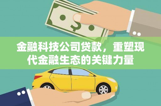国姓金融科技公司贷款，重塑现代金融生态的关键力量