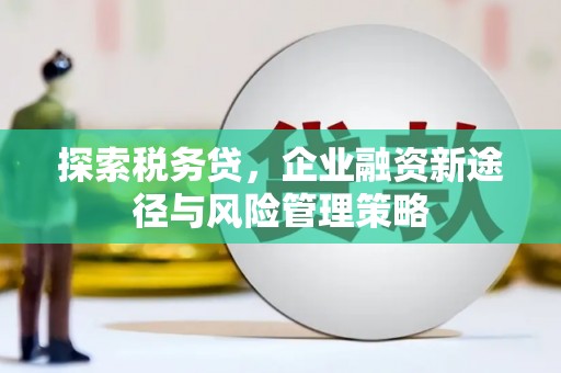 国姓探索税务贷，企业融资新途径与风险管理策略