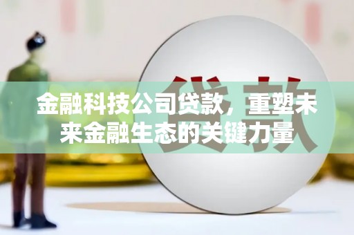 国姓金融科技公司贷款，重塑未来金融生态的关键力量