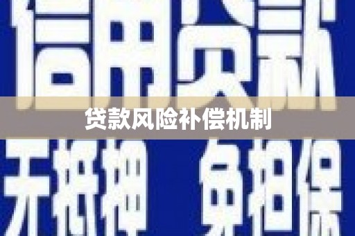 国姓贷款风险补偿机制