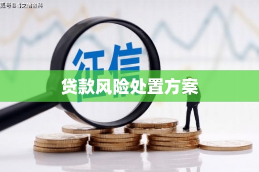 国姓贷款风险处置方案