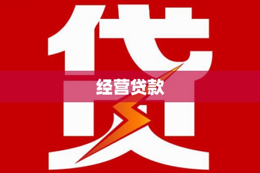 国姓经营贷款