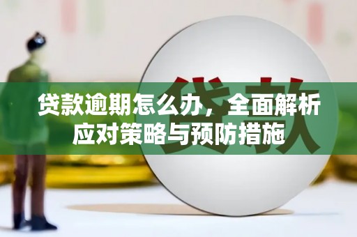 国姓贷款逾期怎么办，全面解析应对策略与预防措施