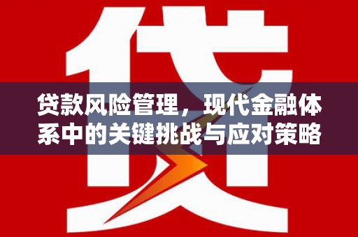 国姓贷款风险管理，现代金融体系中的关键挑战与应对策略