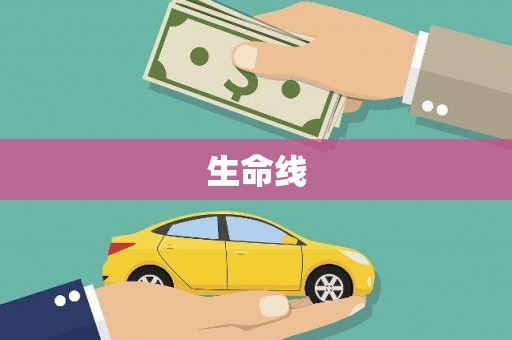 国姓生命线