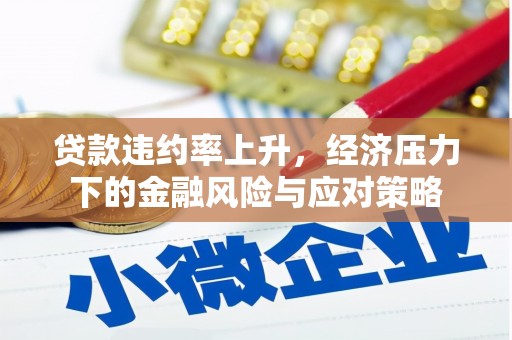 国姓贷款违约率上升，经济压力下的金融风险与应对策略