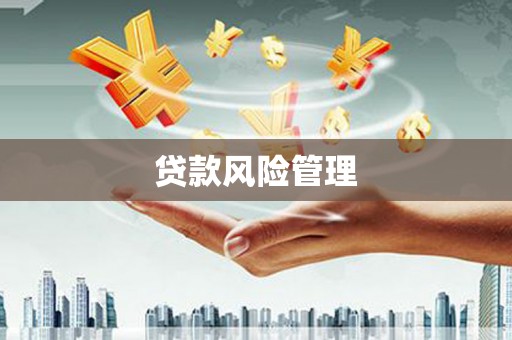 国姓贷款风险管理