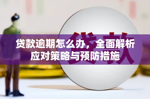 国姓贷款逾期怎么办，全面解析应对策略与预防措施