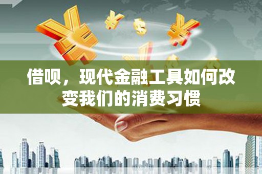 国姓借呗，现代金融工具如何改变我们的消费习惯