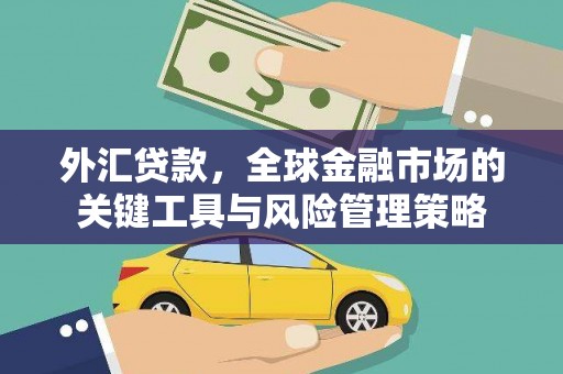 国姓外汇贷款，全球金融市场的关键工具与风险管理策略