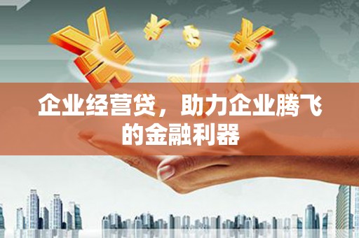 国姓企业经营贷，助力企业腾飞的金融利器