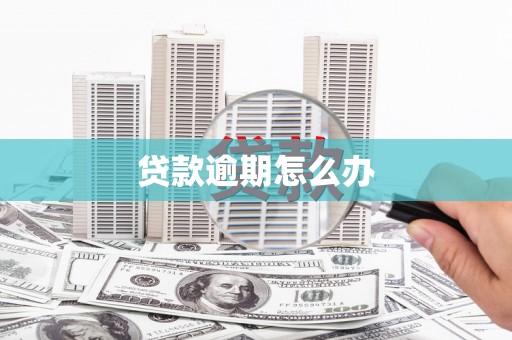 国姓贷款逾期怎么办