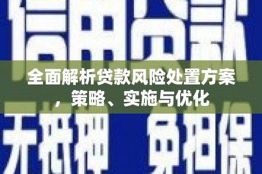 国姓全面解析贷款风险处置方案，策略、实施与优化
