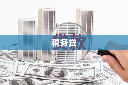 国姓税务贷