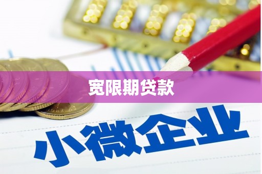 国姓宽限期贷款