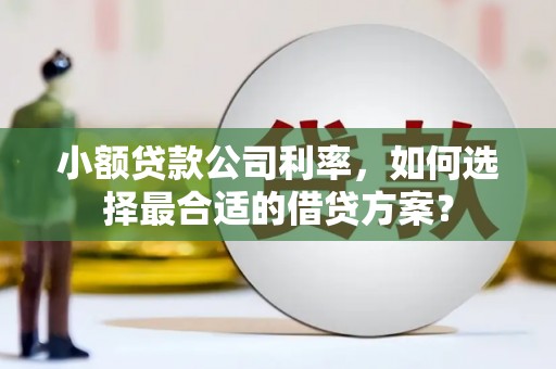 国姓小额贷款公司利率，如何选择最合适的借贷方案？