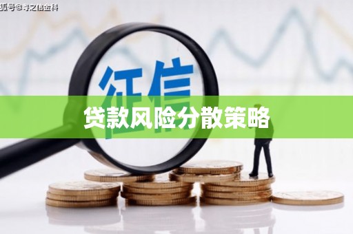 国姓贷款风险分散策略