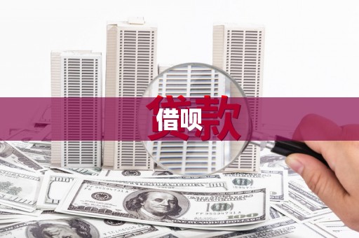 国姓借呗
