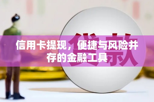 国姓信用卡提现，便捷与风险并存的金融工具
