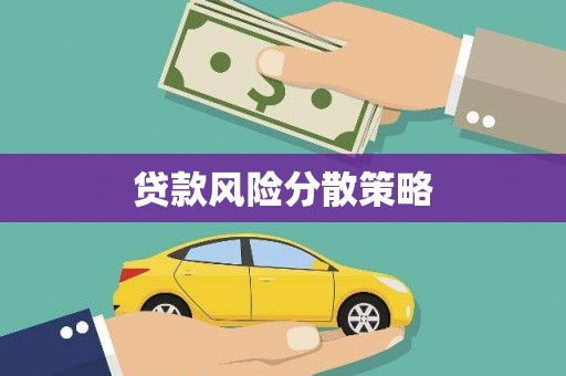 国姓贷款风险分散策略