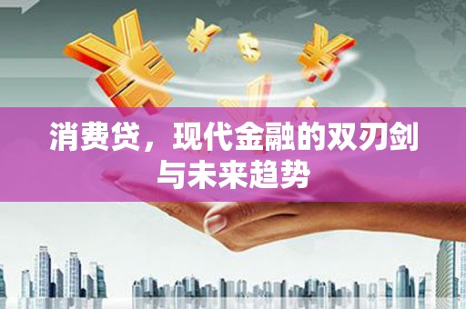 国姓消费贷，现代金融的双刃剑与未来趋势