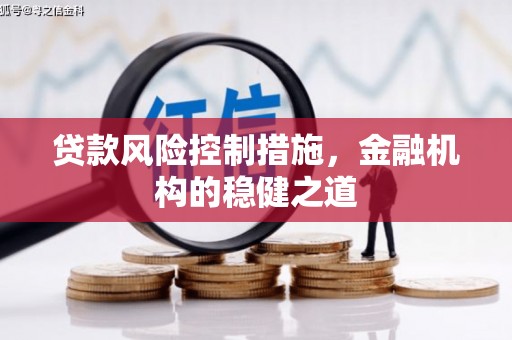 国姓贷款风险控制措施，金融机构的稳健之道