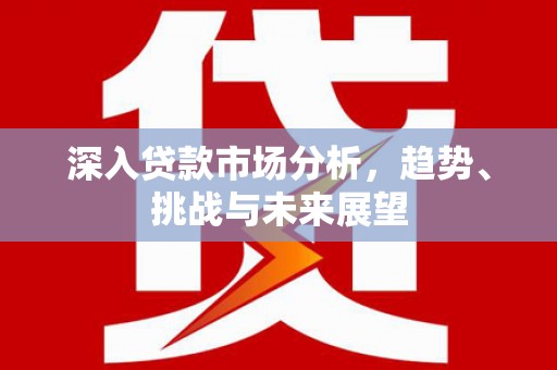 国姓深入贷款市场分析，趋势、挑战与未来展望