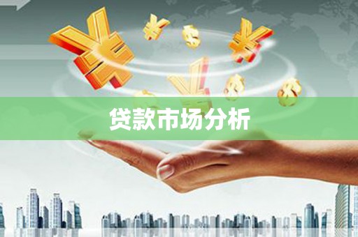 国姓贷款市场分析